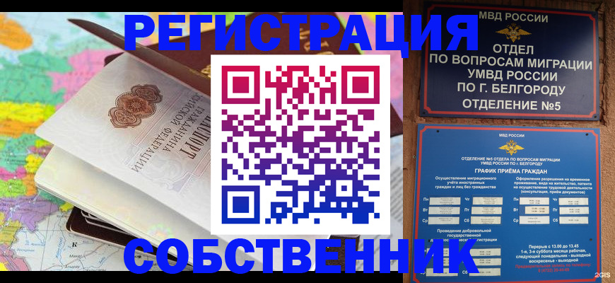 временная регистрация гарантия в Палласовке